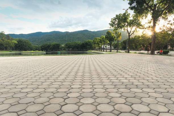 Best Professional Driveway Pavers  in Roanoke Rapids, NC