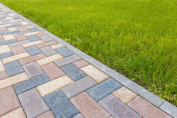 Best Driveway Pavers Near Me  in Roanoke Rapids, NC